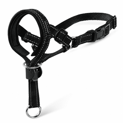 Padded Dog Head Halter in Black Nylon, Size 2 with Reflective Stitching