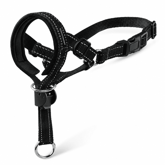 Padded Dog Head Halter in Black Nylon, Size 2 with Reflective Stitching