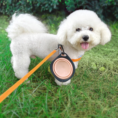 Collapsible Travel Dog Bowl in Pink, Foldable Water Dish with Carabiner Clip - Image 6
