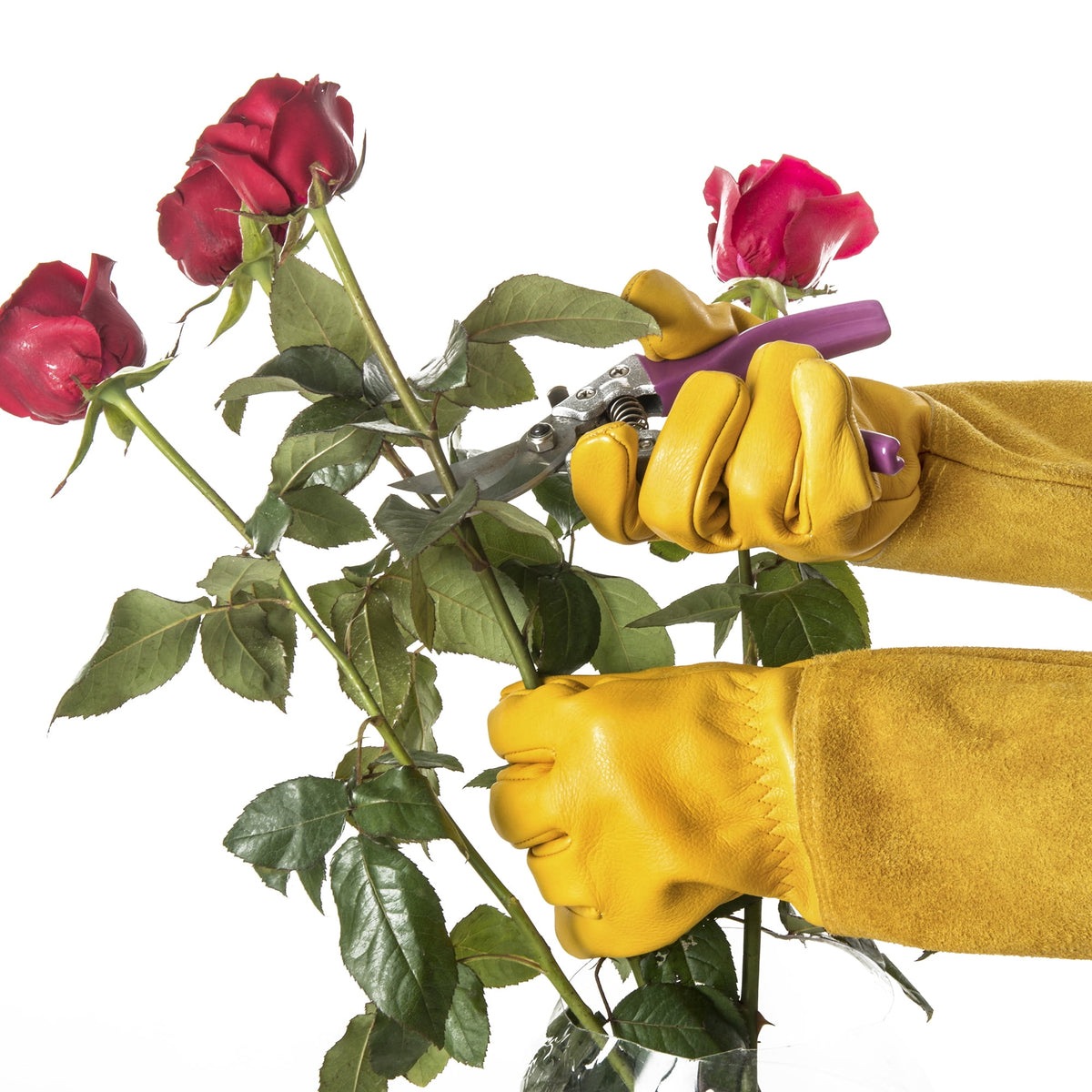 Cowhide Gauntlet Gardening Gloves, Thorn-Resistant with Extended Forearm Cuffs - Image 2