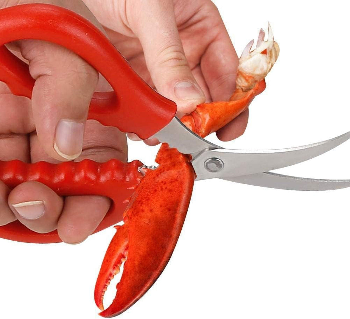 Seafood Shears, Set of 4 Spring-Loaded Stainless Steel Shell and Poultry Scissors - Image 4