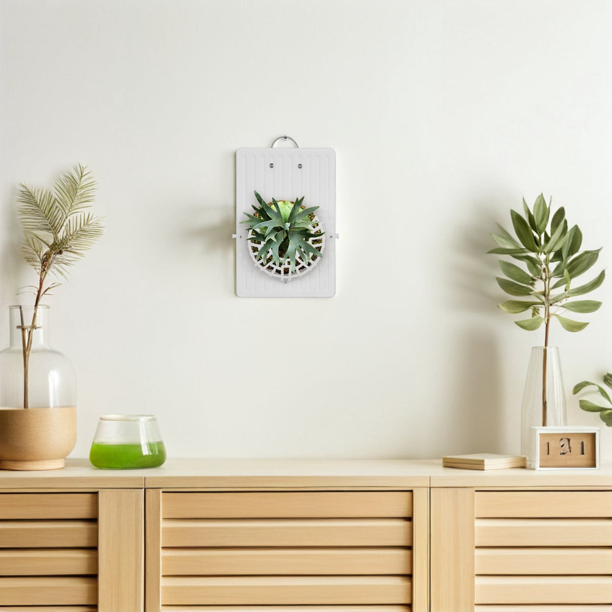 Wall-Mounted Plant Board in White Plastic for Staghorn Ferns and Orchids - Image 5