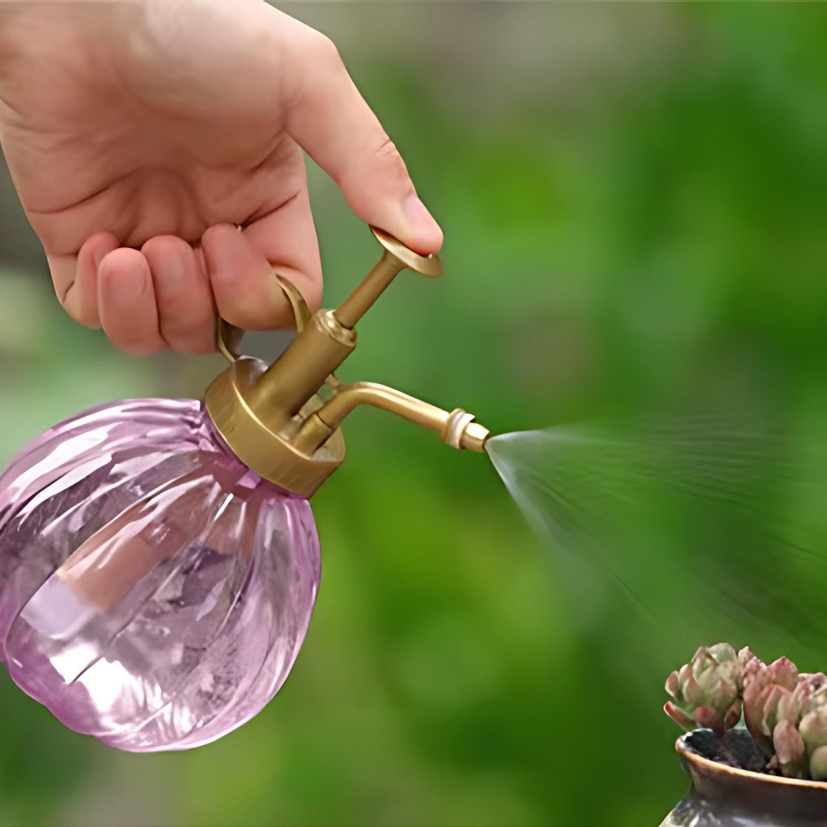 Small Plant Mister with Top Pump, 200 ml Fine-Spray Bottle at 6 Inches - Image 3