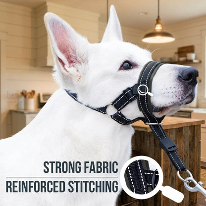 Padded Dog Head Halter in Black Nylon, Size 2 with Reflective Stitching - Image 4